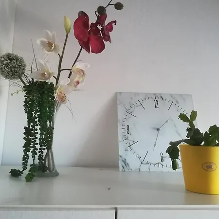 Ellena Sunshine Opatija