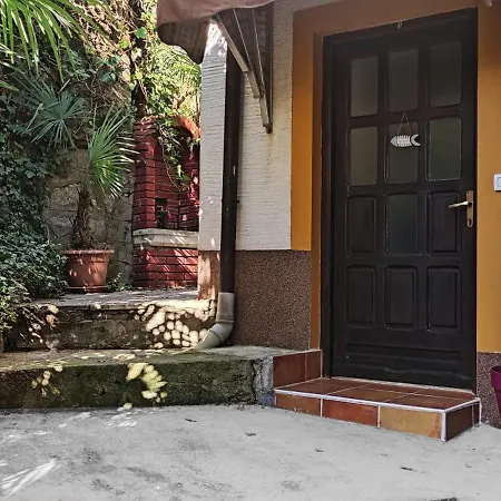 Ellena Sunshine 奥帕提亚