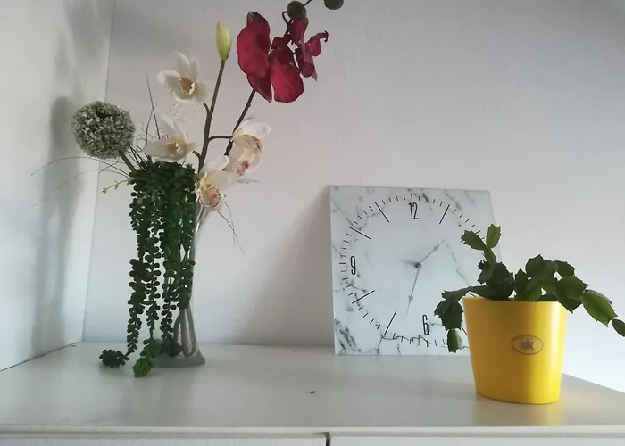 Ellena Sunshine Opatija